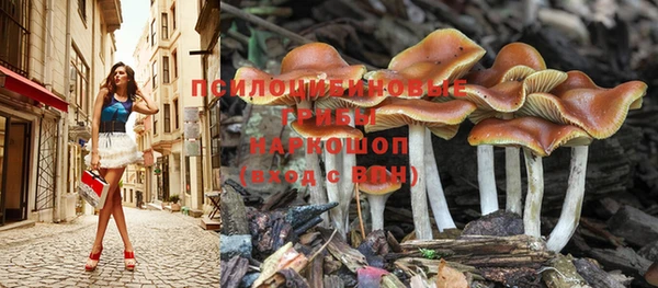 дурь Беломорск