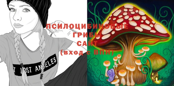 mix Белокуриха