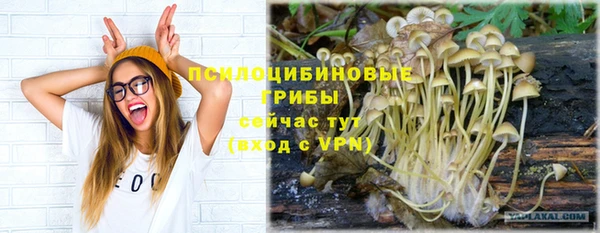 mix Белокуриха