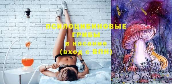 mix Белокуриха