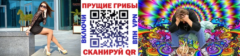 KRAKEN tor  Мглин  Псилоцибиновые грибы мицелий 